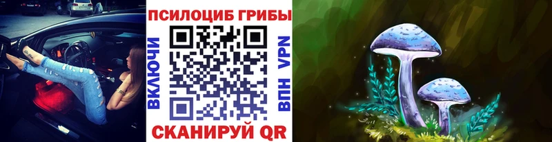 Псилоцибиновые грибы мицелий Владивосток